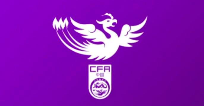 九游娱乐-律师张冰：女足球员维权难，足协拿不给自由身的俱乐部没办法